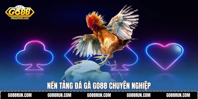 Nền tảng Đá Gà Go88 chuyên nghiệp