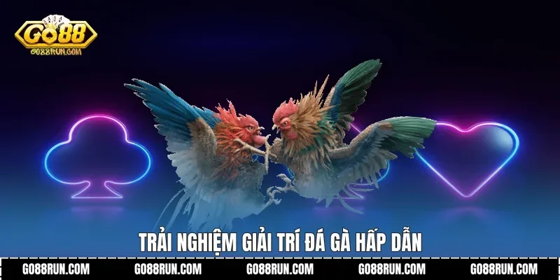 Trải nghiệm giải trí Đá Gà hấp dẫn